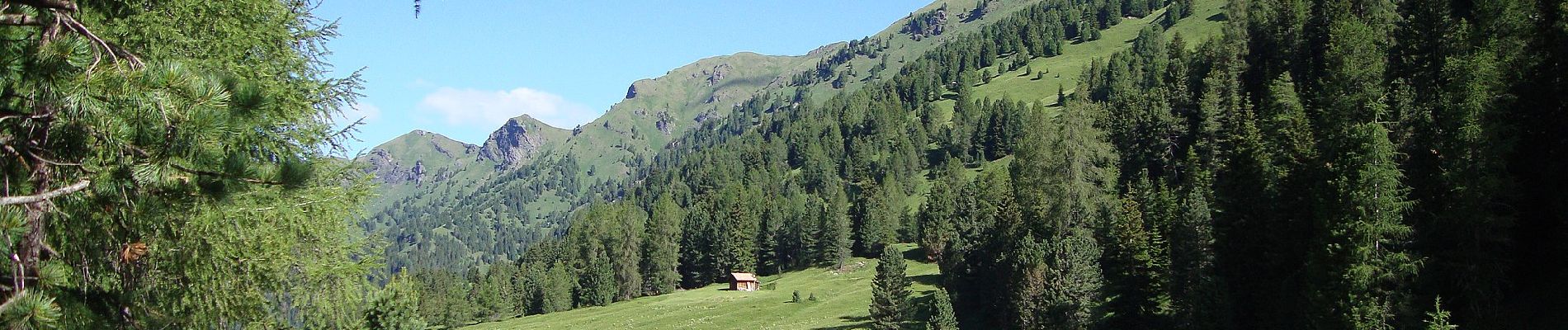 Excursión A pie San Giovanni di Fassa - IT-E641 - Photo