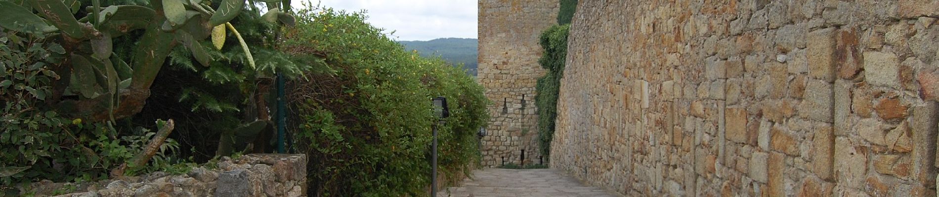 Tour Zu Fuß Pals - Pals-Palau-sator - Photo