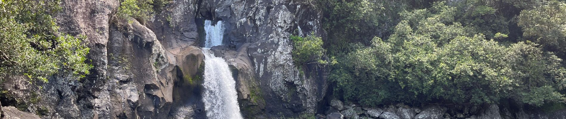 Tour Wandern Bras-Panon - Riviere du mat cascade la mer aigrette  - Photo