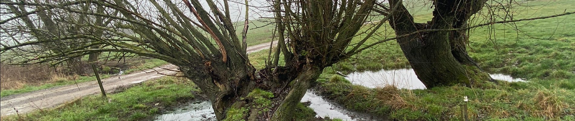 Randonnée Marche Gerpinnes - Gougnies par les carrières  - Photo