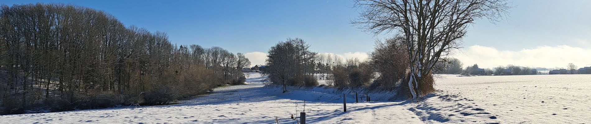 Excursión Senderismo Havelange - Méan-Maffe sous la neige... - Photo