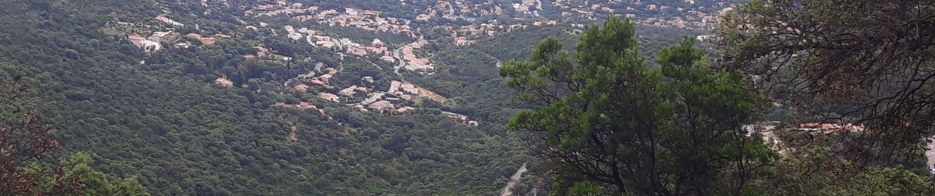 Tocht Stappen Cogolin - les hauts de Cavalaire - Photo