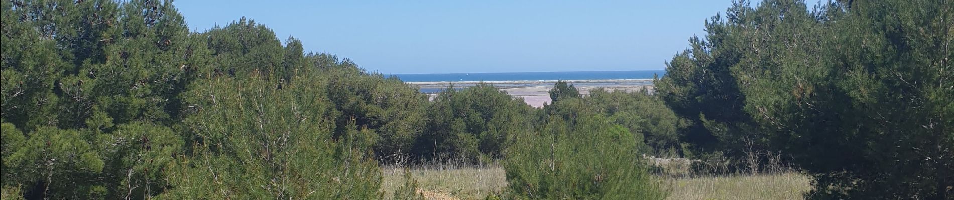 Tocht Stappen Gruissan - gruissan port a l'île st Martin  - Photo