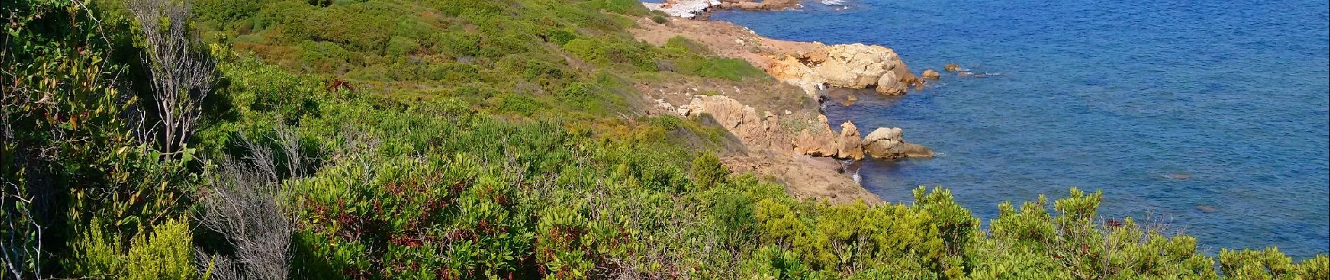 Randonnée Marche Rogliano - Mzcinaggio chemin des douaniers  - Photo