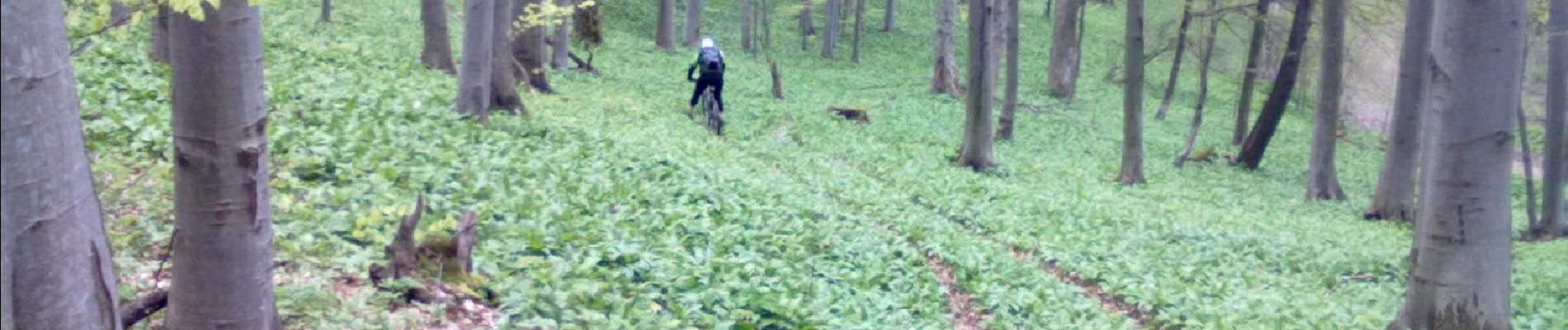 Tour Zu Fuß Unknown - Jezerce - Nevoljaš - Anđina koliba - Vojna cesta - Photo