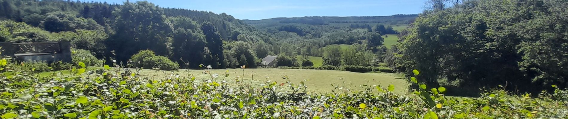 Tour Wandern Tenneville - Marche ADEPS à Cens. 10km300 sur un bea parcours bien balisé. Beau dénivelé pour terminer. - Photo