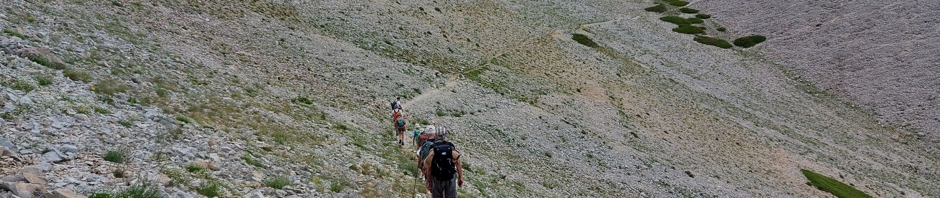 Trail Walking Bédoin - du chalet renard au sommet du ventoux - Photo