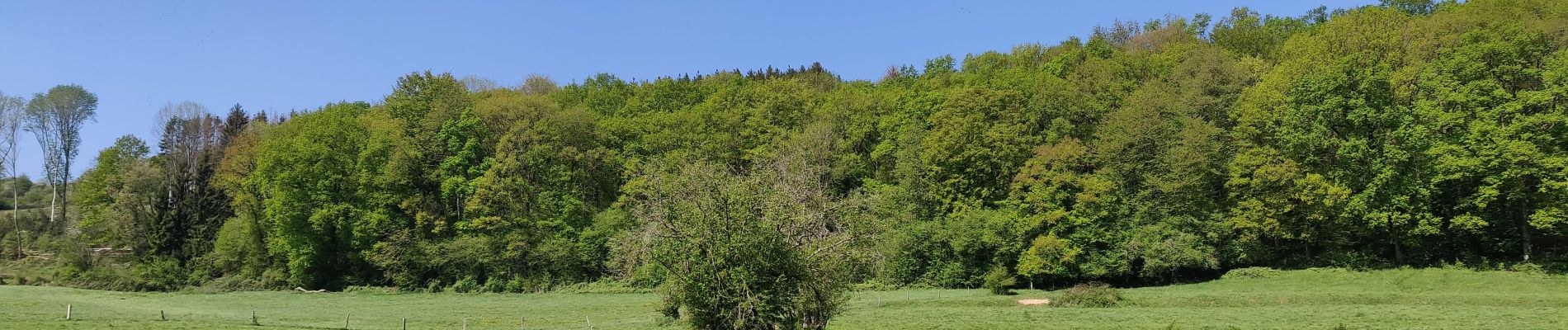 Tour Hybrid-Bike Durbuy - Chemin touristique Barvaux-Durbuy - Photo