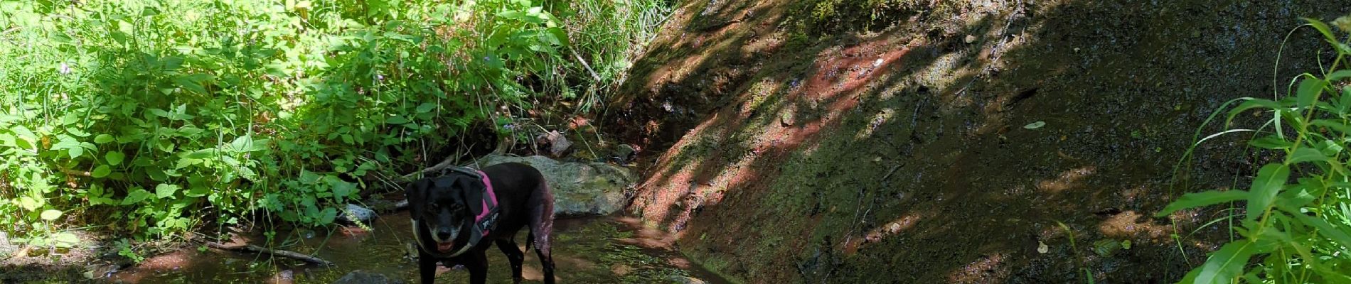 Randonnée Marche Beuil - balcon sur les gorges du cians - Photo