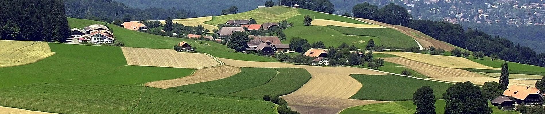 Tour Zu Fuß Wald (BE) - Englisberg - Hofmatt - Photo