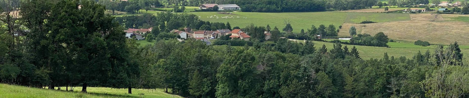 Tocht Stappen Trézioux - La ronde des Grüns de Trézioux - Photo