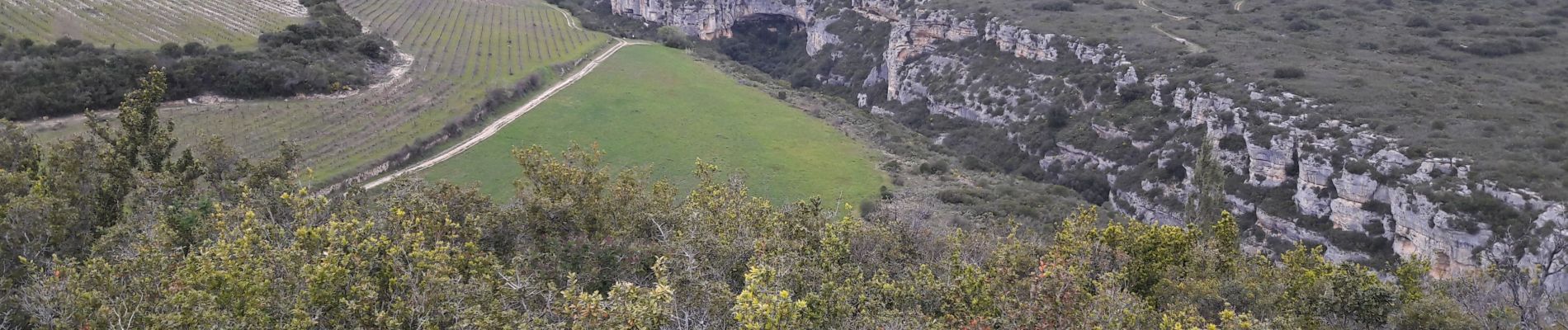 Trail Walking Cesseras - Grotte Aldène Cesseras - Photo