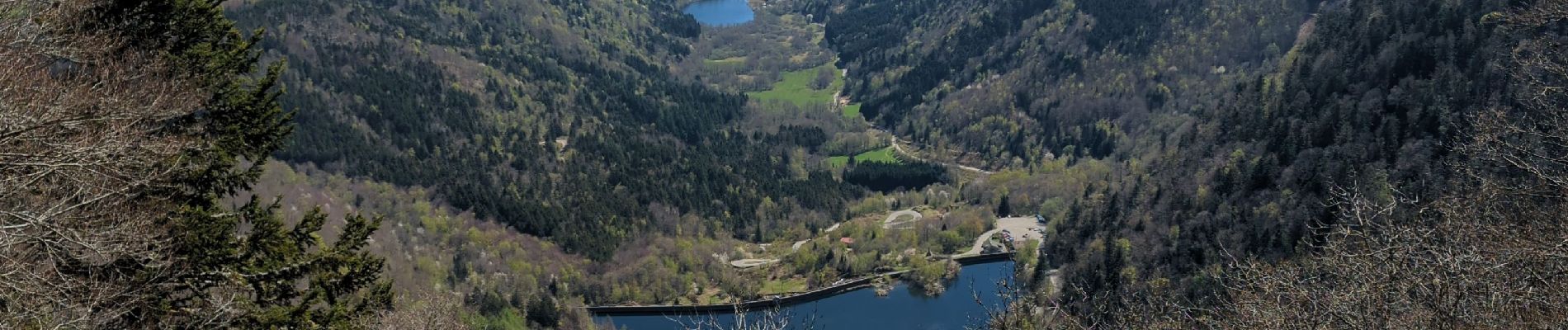 Excursión Senderismo Sewen - balade lac d'alfeld 2 - Photo