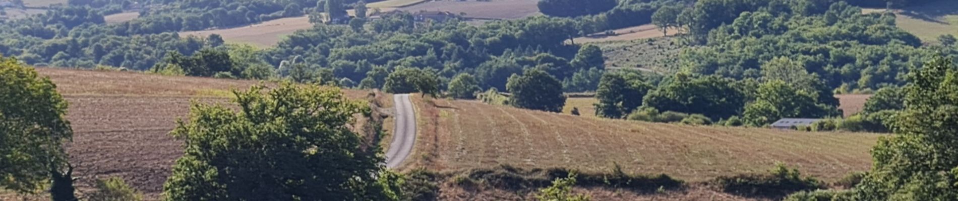 Excursión Senderismo Verneuil-sur-Vienne - la Merlie - Photo