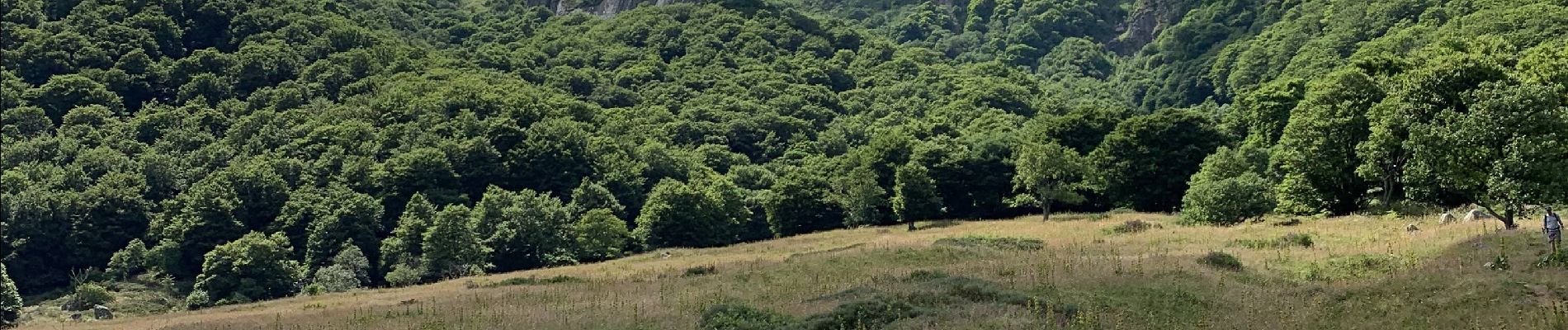 Trail Walking Chambon-sur-Lac - Le Sancy par la vallée de Chaudefour - Photo