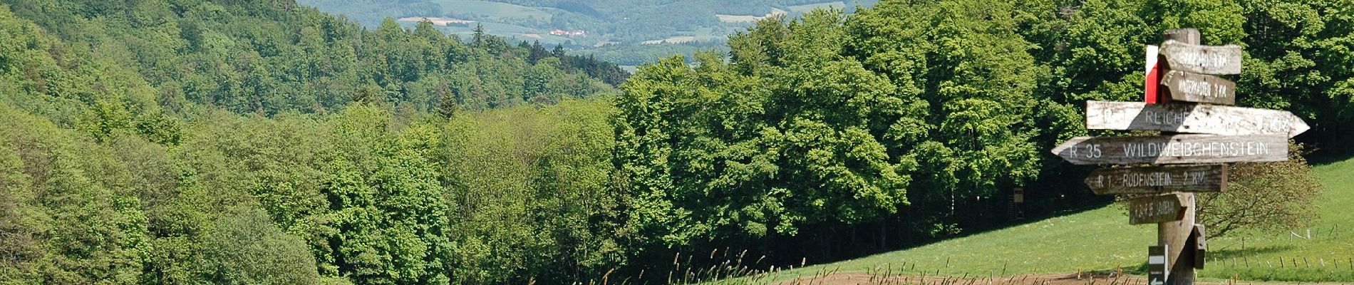 Randonnée A pied Reichelsheim (Odenwald) - Rundwanderweg Reichelsheim Freiheit 5: Germannshöhen-Weg - Photo