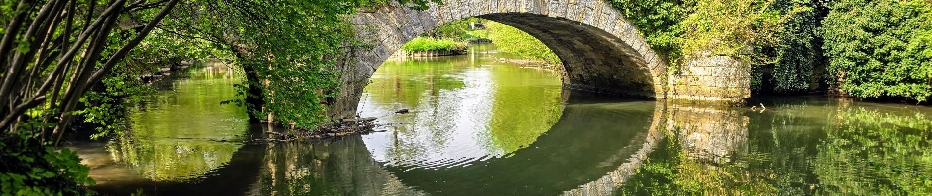 Tour Wandern Yerres - Boucle 30 km Sénart et bords de l'YERRES - Photo