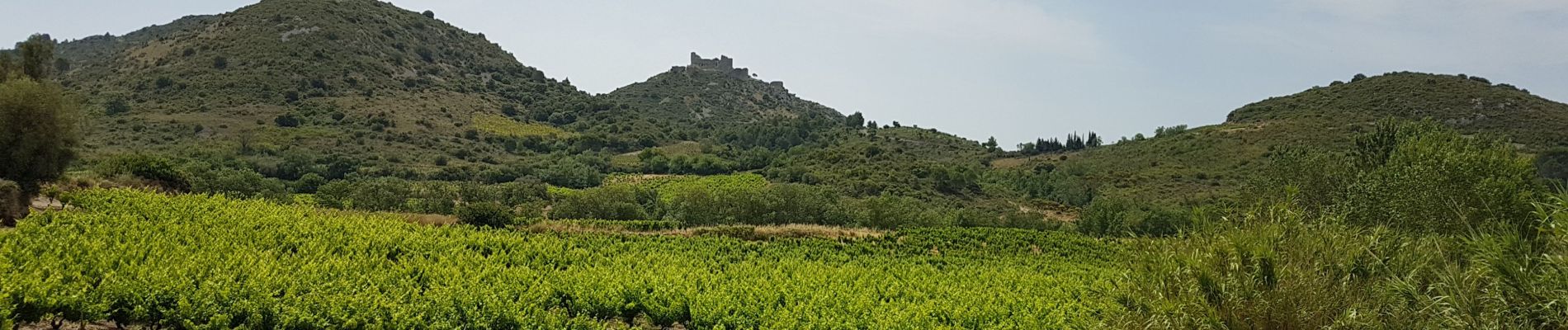 Tocht Fietstoerisme Leucate - Leucate - Cucugnan - Photo