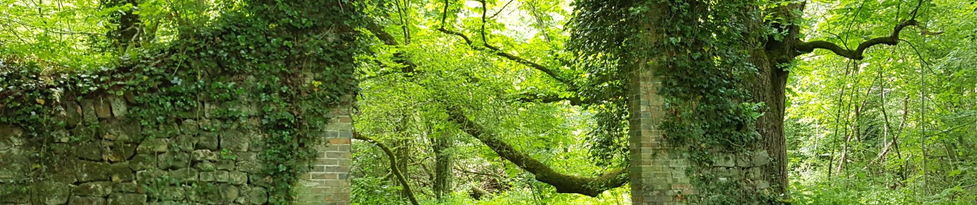 Randonnée Marche Poigny-la-Forêt - rochers d'angennes mai 2019 - Photo