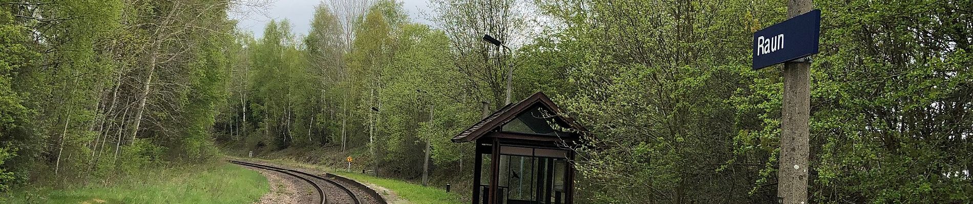 Percorso A piedi Bad Brambach - Wanderweg gelber Strich - Photo