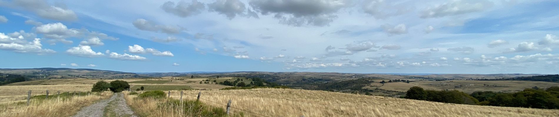 Tour Wandern Recoules-d'Aubrac - Recoules Bouchabes  - Photo