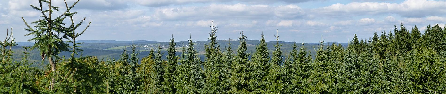 Tour Zu Fuß Winterberg - Züschen Rundweg Z2 Ahrentalweg - Photo