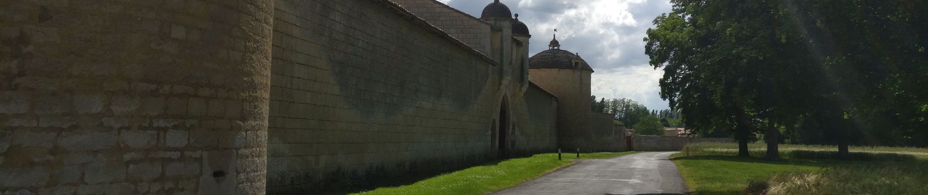 Percorso Mountainbike Chauray - 2019-06-06 VTT vers Echiré - Photo