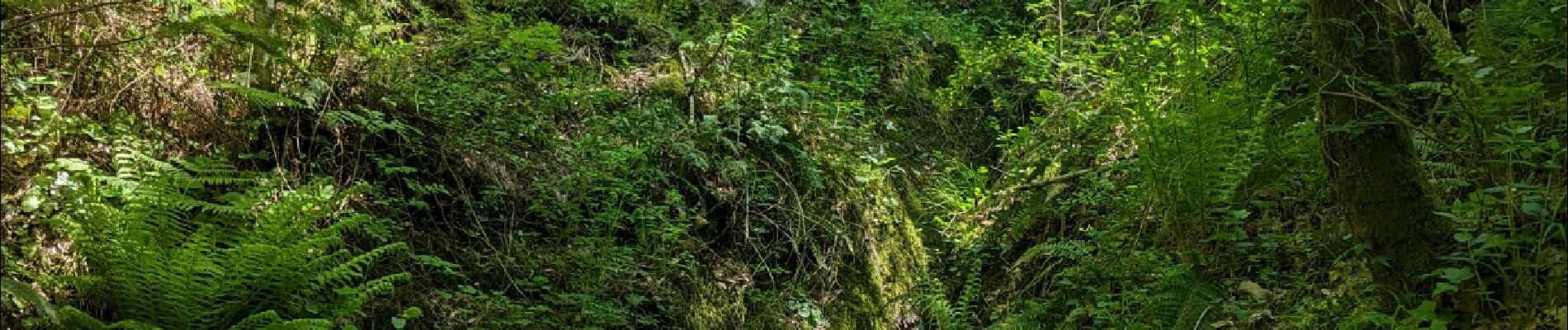 Tour Wandern Soudorgues - La Vallée Borgne - Photo