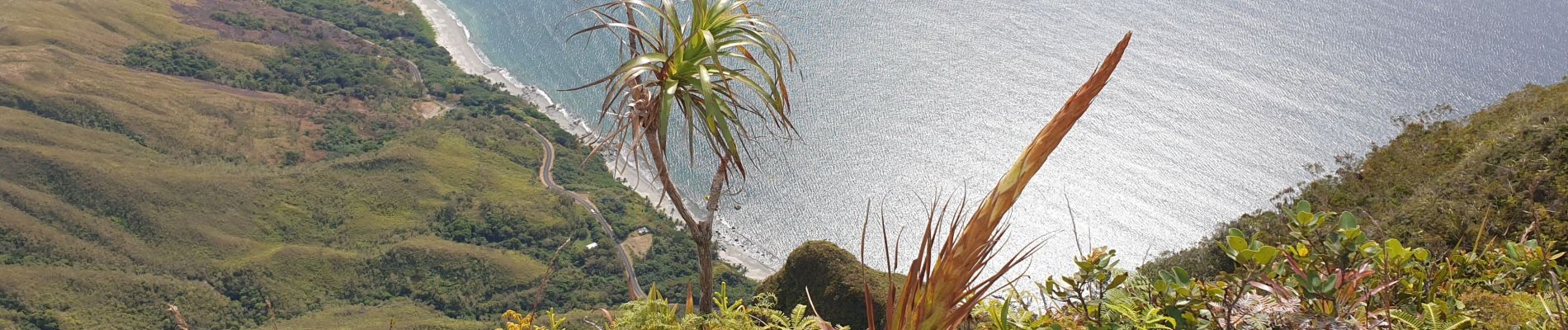 Randonnée Marche Hienghène - Les Roches de la Ouaïème - Hienghène (NC) - Photo