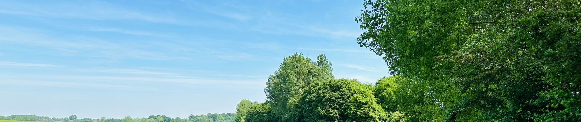 Tocht Te voet Kortessem - pittoreske-kerkdorpen-startplaats-zammelen-oranje - Photo