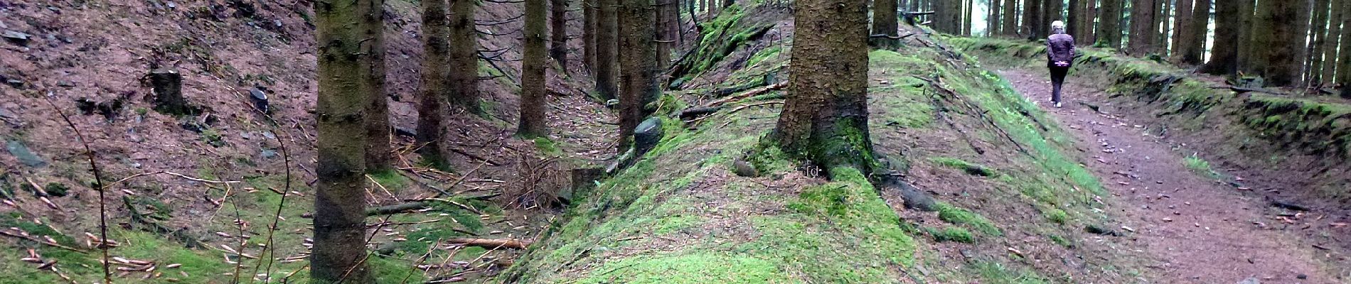 Tocht Te voet Bestwig - Evenkopf Rundweg A9 - Photo