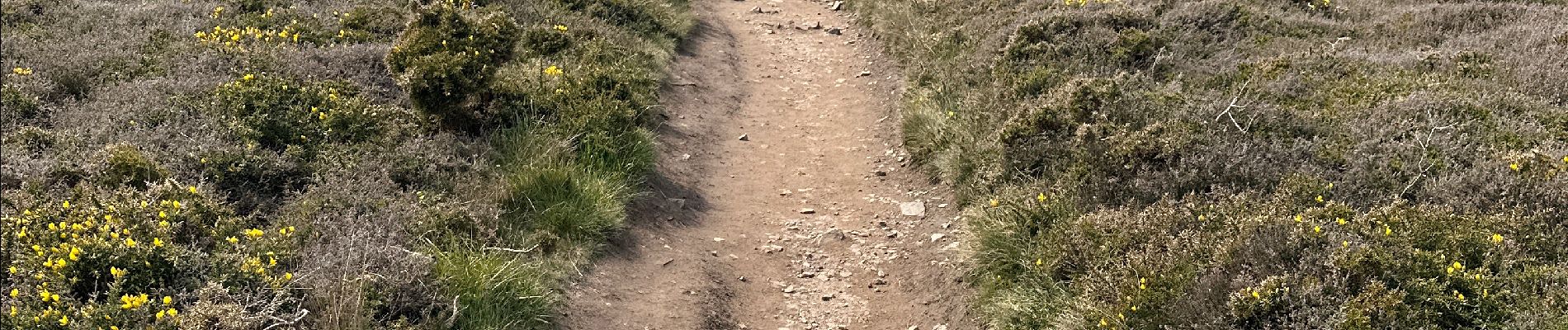 Tocht  Crozon - Cap de la chèvre - Photo