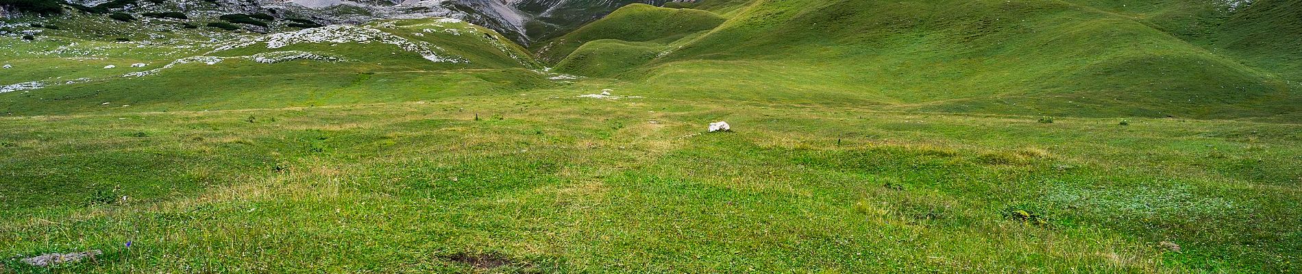 Tour Zu Fuß Enneberg - IT-27 - Photo