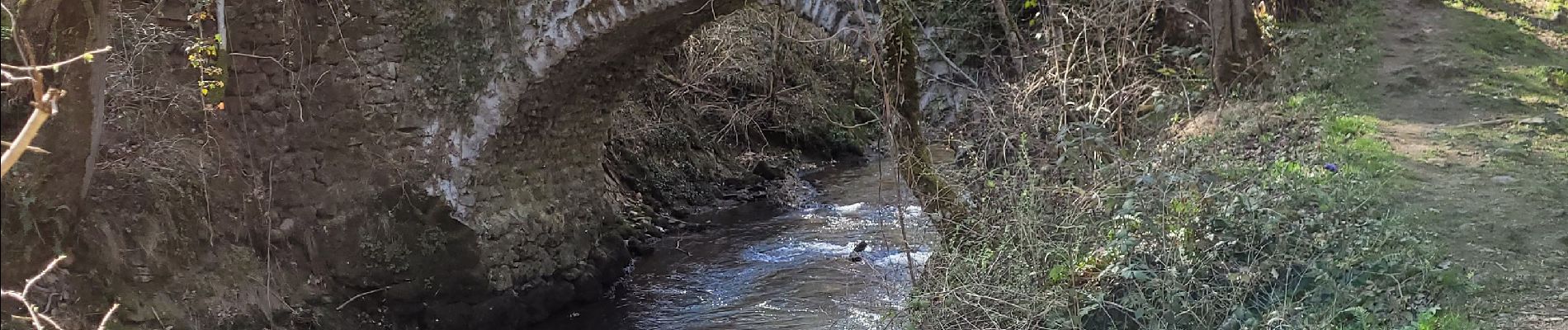 Trail Walking Saint-Diéry - Boucle au départ de Bessolle - Photo