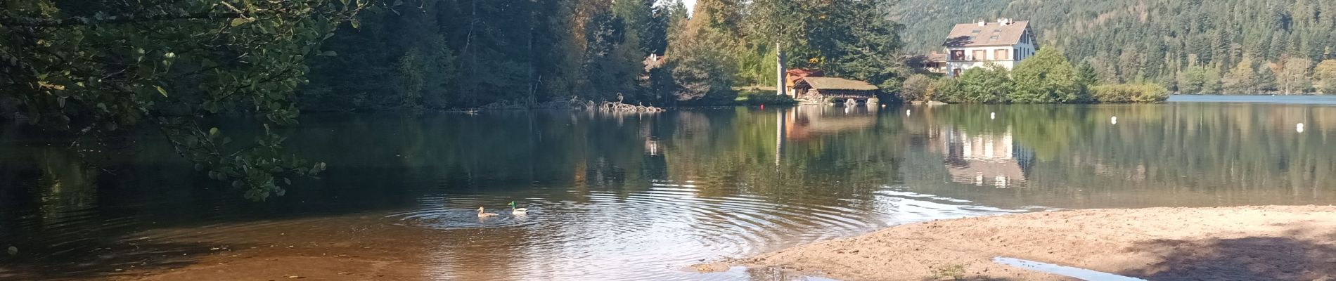 Tour Wandern Gerdsee - Cascade /observatoire de Menelle  - Photo