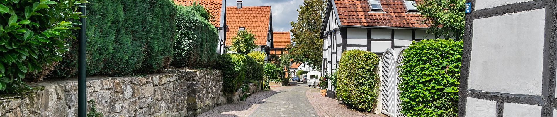 Trail On foot Tecklenburg - Teutoschleifchen Modersohns Spuren - Photo