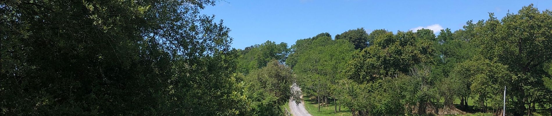 Tour Wandern Hasparren - Landes Hasparren  - Photo