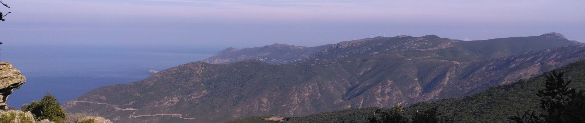 Tocht Stappen Luri - Tour de Sénèque - Photo