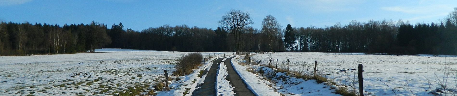 Trail On foot Malmedy - Ligneuville : Haye - Photo