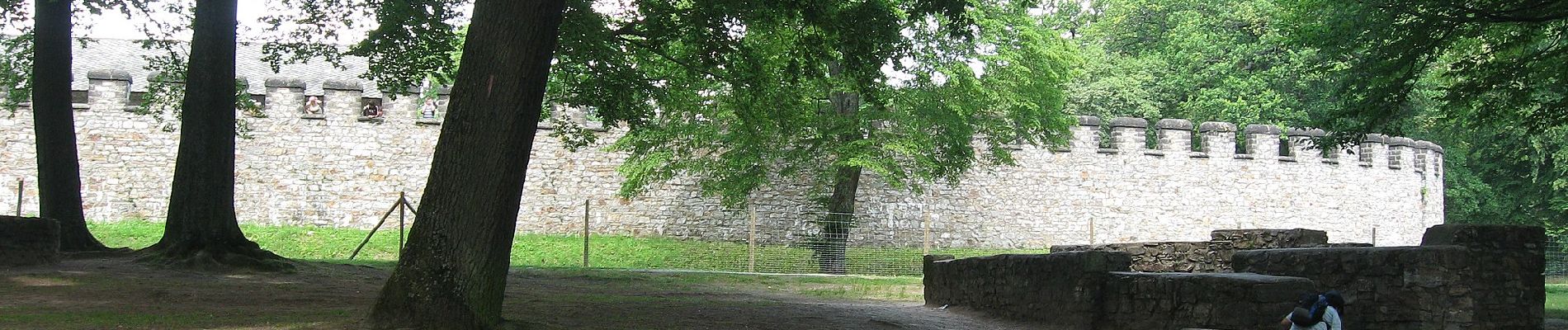 Percorso A piedi Friedrichsdorf - Friedrichsdorf-Saalburg - Photo