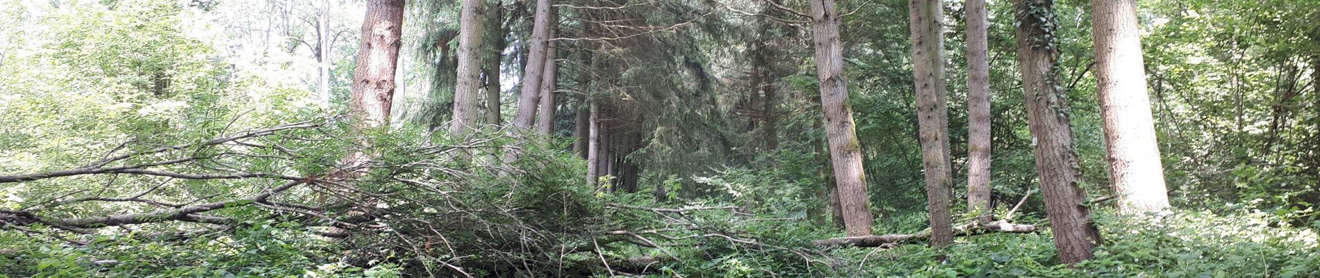 Tocht Stappen Somme-Leuze - Sentier d'Art d'Heure à Ciney - Photo