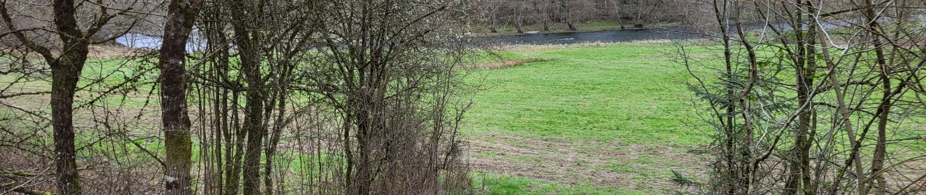 Tour Wandern Florenville - Herbeumont 260324 - Photo