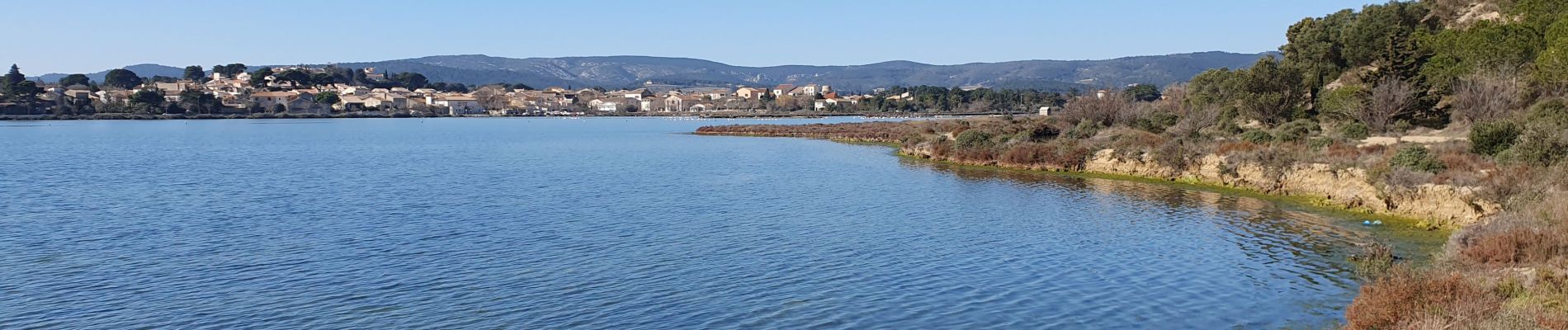 Trail Walking Peyriac-de-Mer - Salin de Peyrac - Photo