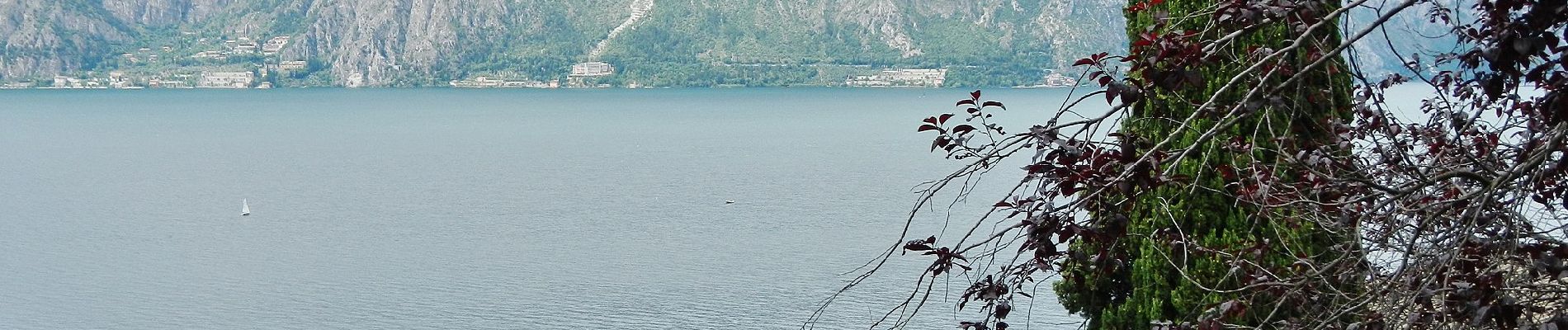 Tour Zu Fuß Malcesine - Malcesine - Navene - Photo