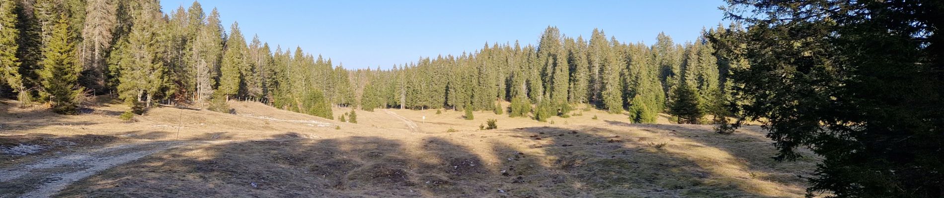 Percorso Marcia Châtelblanc - Le pré-poncet par le petit pont et la forêt  - Photo