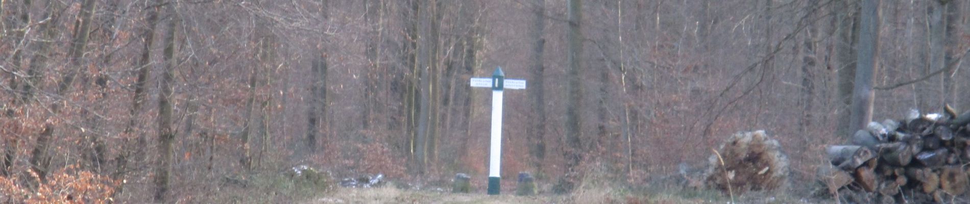 Percorso A piedi Pont-Sainte-Maxence - petite remise en forme - Photo