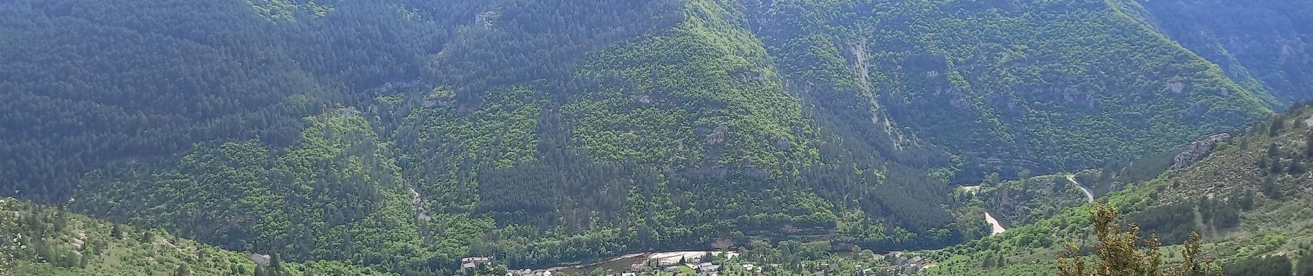 POI Gorges du Tarn Causses - Intersection pistes - Photo