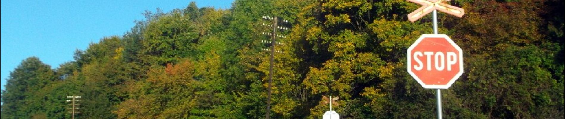 Tour Zu Fuß Bezirk Karpfen - Náučný chodník Koháryho dub - Photo