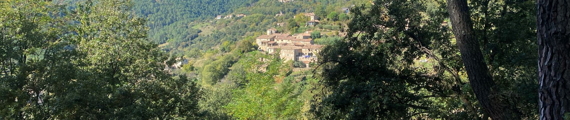 Excursión Senderismo Faugères - Fauveries - Photo