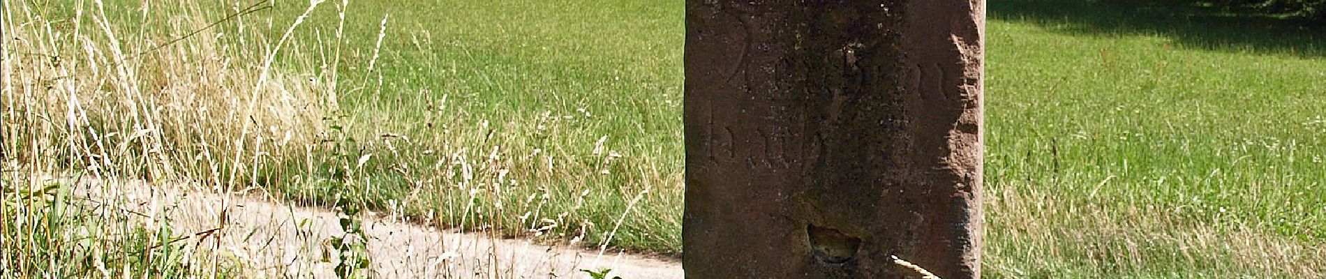 Randonnée A pied Bensheim - Rundwanderweg Bensheim Märkerwald 2: Eichelbergweg - Photo